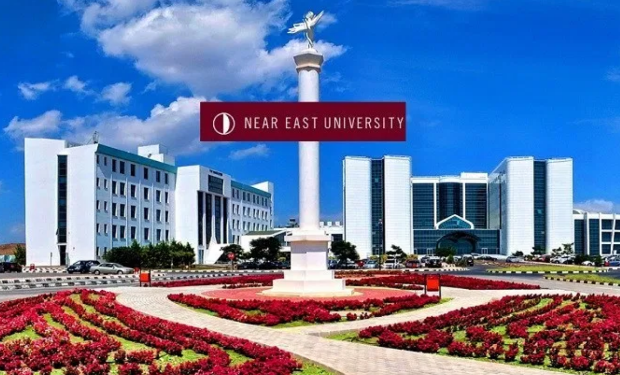 دانشگاه نیرایست